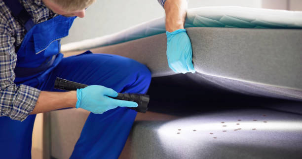 Best Termite Control Services  in East Highland Park, VA