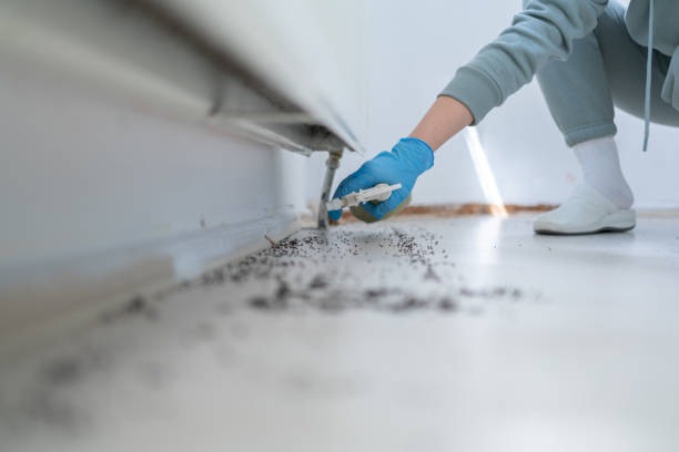 Best Exterminator Services  in East Highland Park, VA